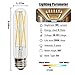 Leools 8W Dimmable Edison Led Tubular Bulb T10m,E26 Medium Base Lamp 75 Watt Incandescent Bulb Equivalent 2700K Neat Warm White, 3-Pack