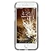 iPhone 6 Case, SaharaCase Clear with [Tempered Glass Screen Protector] Fits Apple iPhone 6s & 6 [Shock-Absorbing Bumper] Anti-Scratch Back [Camera Image Enhancing Technology] Crystal Clear