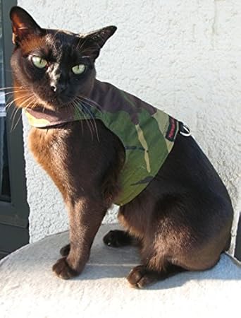 Mynwood Veste Harnais Pour Chat Adulte Motif Camouflage Vert Amazon Fr Animalerie Mynwood Veste Harnais Pour Chat Adulte Motif Camouflage Vert Amazon Fr Animalerie