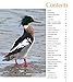 Wings on the Water: The Great Gallery of Ducks, Geese and Loons