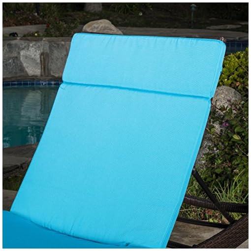 Christopher Knight Home Salem Chaise Lounge Cushion, 2Pcs Set