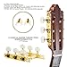 DJ204GK-P1W TENOR Classical Guitar Tuners, Tuning Key Pegs/Machine Heads for Classical or Flamenco Guitar in Gold Plated Finishing with Pearl Colored Buttons.