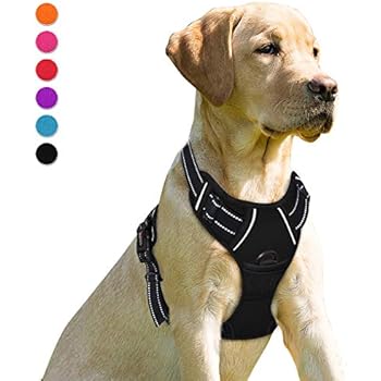 BARKBAY No Pull Dog Harness Front Clip Heavy Duty Reflective Easy Control Handle for Large Dog Walking