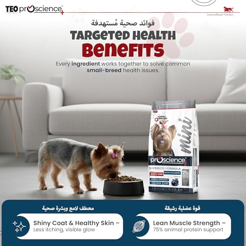 Teo Premium Proscience Mini Adult Dog Food 2KG Salmon & Blueberry, Hair, Skin & Coat Care, 75% Animal Protein, Hypoallergenic, Omega-Rich Formula 32% Protein 15% Fat
