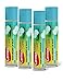 Winter Mint Carmex Daily Care Moisturizing Lip Balm SPF 15-4 Pack
