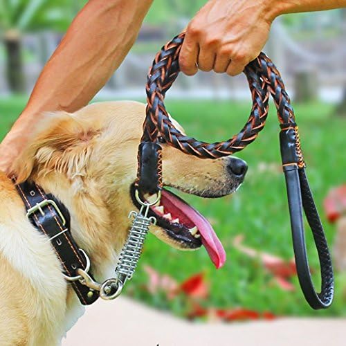 Real Leather Pet Dog Leash and Adjustable Studded Pet Collar Set for Large and Medium Dogs by SPAZI