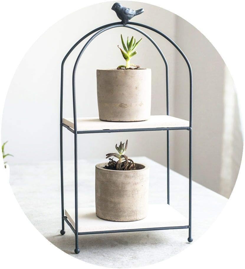 Janicestyle 2 Tier Metal & Wood Plant Stand Flower Pot Holder Display,Decorative Planter Shelf,Desktop Storage Shelves Organizer Rack,Cupcake Stand-Wedding Home Decor in Box, for Succulents, Cacti, He