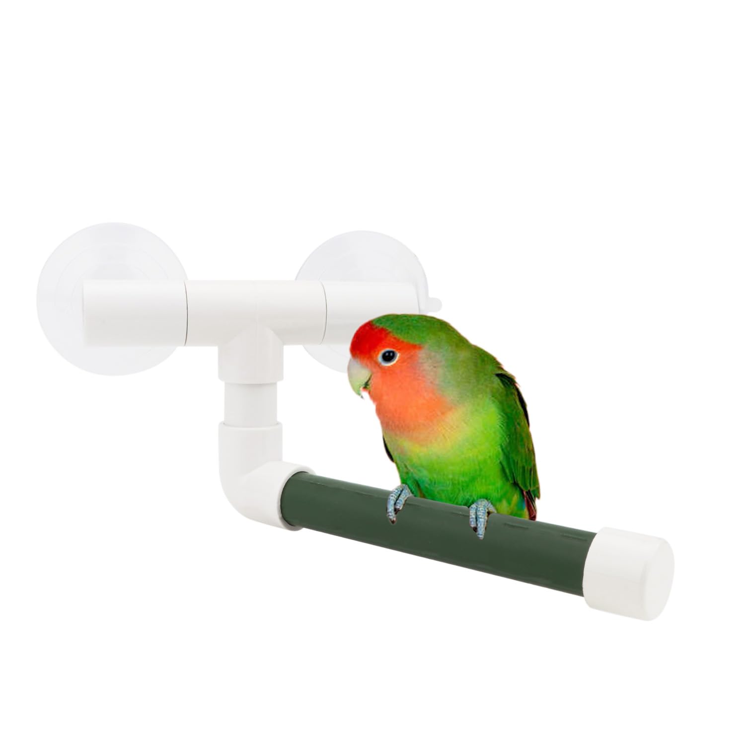 Hypeety Bird Parrot Stand Perch Shower Standing Toy Portable Suction Cup Parrot Shower Perch Bath Stands Suppllies Holder Platform Parakeet Window Hanging Play(SMALL)