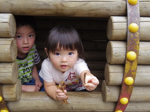 Pentax-Q7-Black-Zoom-Lens-Kit-with-02-Standard-Zoom-5-15mm-f28-45-International-Version-No-Warranty