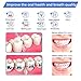 Water Flosser Cordless Rechargeable Portable Dental Oral Irrigator Ailifefort for Home, Travel, Braces and Bridges Care - IPX7 Waterproof 3 Modes, Cleanable and High Capacity Water Tank