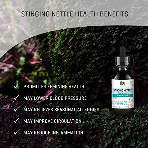 Stinging Nettle Root Liquid Extract 2 fl. oz. Organic Urtica Dioica