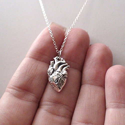 925 Sterling Silver Lifelike Anatomical Heart Pendant Necklace, 18 Inch Chain Clothing, Shoes & Jewelry, Women, Jewelry, Necklaces, Pendants