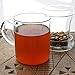 Primula Glass Mug with Loose Tea Infuser, 12-Ounce