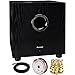 PIONEER 100-Watt Powered Subwoofer (SW-8MK2) with 15FT Coaxial Audio/Video RCA CL2 Rated Cable 75ohm, Series 16 AWG Speaker Wire 100ft & Brass Speaker Banana Plugs 5-Pair
