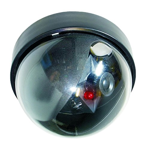 Byron CS44D Dome Dummy Camera