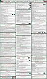 2017 (SPANISH) Texas State and Federal Labor Law Poster - Laminated 24