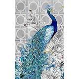 QC Style DIY 5D Diamond Painting by Number Kits, Crystal Rhinestone Diamond Embroidery Paintings Pictures Arts Craft for Home Wall Decor (Peacock)