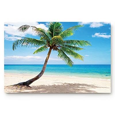 Coconut Palm Tree Doormats Tropical Plant Summer Beach Hawaii Welcome Entrance Front Door Rug Outdoors/Indoor/Bathroom… 51nmjOJM3WL