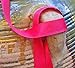Red 1 Inch Grosgrain Ribbon. 50 Yards Gift Wrapping Spool by Drency Ribbons