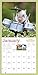 Pocket Pigs Wall Calendar 2016: The Famous Teacup Pigs of Pennywell Farm