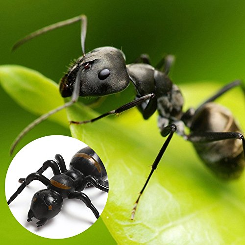 LovesTown Big Fake Ants Simulated Insect Prank Toy Ants Toy Figure 1.6\