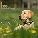 Dog Training Collar, Rechargeable & Waterproof, Blind Operation with Anti-stuck Button Remote 330yd Range, Dog Shock Collar with Beep, Vibration and Shock Mode for Small Medium Large Dog, 10-88lbs
