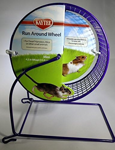 kaytee run around wheel