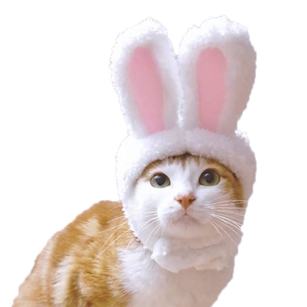 cat easter costume
