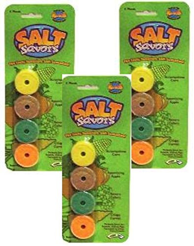 Kaytee Mini Salt Savors Flavors 4pk