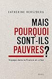 Mais pourquoi sont-ils pauvres ? : Voyage dans la France en crise by 