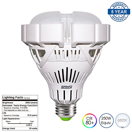 SANSI BR30 30W (250w-200w Equivalent) LED Floodlight Bay Light Bulb - 3000lm, 6500K Cool White, CRI 80+, Non-dimmable, E26 Base, Garage Basement Factory Warehouse Barn Sport Hall Security Lighting