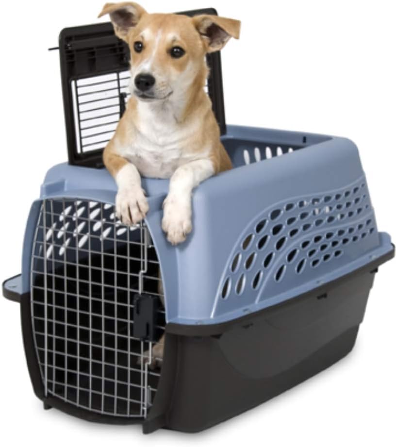 Petmate Two Door Top Load 24-Inch Pet Kennel, Pearl Ash Blue/Coffee Ground (21231) : Cat Carrier : Pet Supplies