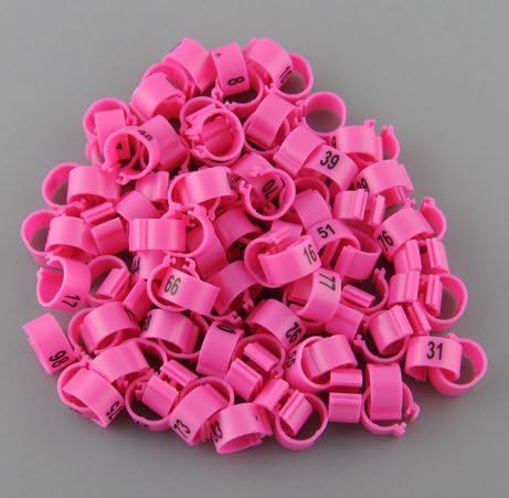 100 Numbered Chicken Leg Bands (pink) 436