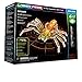 Laser Pegs Spider 6-in-1 Building Set; The First Lighted Construction Toy to Ignite Your Child's Creativity; It's Your Imagination, Light It Up