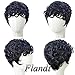 Flandi 100% Human Hair Pixie Cut Wigs Short Brazilian Virgin None Lace Human Hair wigs Short Curly Wigs for Black Women