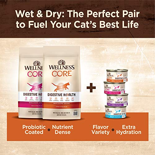 Wellnes CORE Digestive Health GrainFree Natural Wet Cat Food