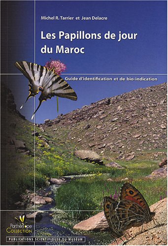 Les  papillons de jour du Maroc