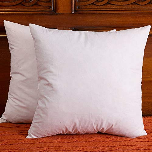 Set Of 2 Down And Feather Throw Pillow Insert The Fabric Is