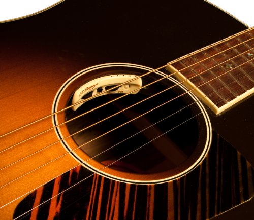 L.R. Baggs ANTHEM  Acoustic Guitar Pickup