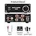 2 Channel Stereo Audio Amplifier Receiver,Ansten Home Stereo Amplifier Mini Hi-Fi Class D Integrated Amp for Home Speakers 50W x 2 with Volume Control TPA3116D2thumb 1