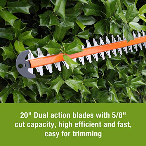 WORKPRO 20V Cordless Hedge Trimmer, 20" Dual Action Blades Electric