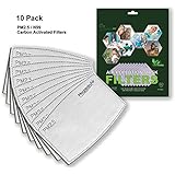 Quality Air Pollution Face Mask Filters – Compatible with N99 and N95 masks – Protect against Dust, Smoke, Gas and Allergies – High Performance 10 Pack