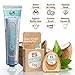 Dr. Ginger's Coconut Oil Fluoride Free Toothpaste for Sensitive Teeth and Gums - Mint Flavor, 4oz 2pcs - All-Natural Whitening Toothpaste with Xylitol, Freshens Breath and Reduces Plaque
