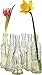 Luna Bazaar Small Vintage Glass Bottle Set (7-Inch, Brooklyn Design, Clear, Set of 6) - Flower Bud Vases Bulk - for Home Decor and Wedding Centerpieces