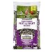 Pennington Pride Songbird Nut & Fruit Blend Wild Bird Seed primary