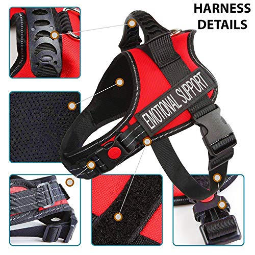 4 paws harness