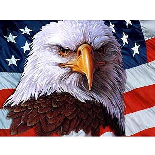 Yumeart Diy 5d Diamond Painting Banner American Flags Eagles