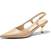 Coutgo Womens Low Kitten Heels Slingback Pumps Closed Pointed Toe Buckle Party Work Dress Shoes