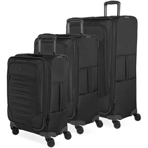 Amazon.com | SwissGear 7739 Hardside Luggage Trunk with Spinner