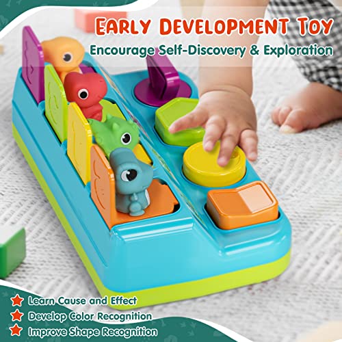 Pop Up Toy, Baby Pop Up Cause and Effect Toys for Toddlers 13